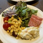 レストラン セリーナ - サラダ