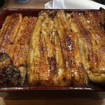 Unagi Irokawa - 