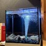 鮨 赤酢 あらまさ - 