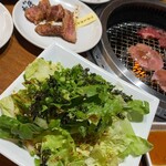 Yakiniku No Watami - 盛りは多めです