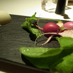 フレッシュなラディッシュ