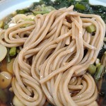 ガリレオ 八兵衛 - そばは柔らかめですね