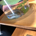 ル スプートニク - 