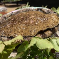 他力野割烹 - 