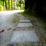 木乃実茶屋 - 園内：この先に・・・♪