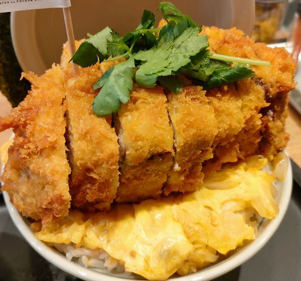 カツカツ 厚さ5センチ400gのカツと400gのごはん 計800g 極厚