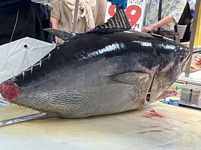 マグロ解体ショー』by shinkinniichan : マルス 安城アン