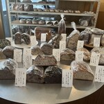 しかたらむかな - 日曜12時