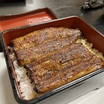 Unagi Hashimoto - 