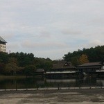 青森屋 - 広大な敷地