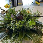 ノノカ レストラン - 「日向鶏　九重ポーク」