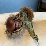 ノノカ レストラン - 