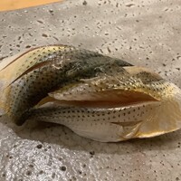 鮨 神楽 - コハダ