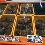 越前がに やまに水産 - 