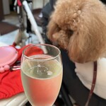 TASTY PLACE THE DINING - ３杯目は泡のグラス