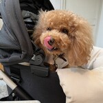 TASTY PLACE THE DINING - ご機嫌なシェリ♪