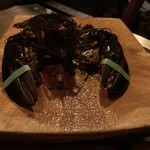 STEAK HOUSE JAM - オマールエビ