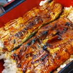 UNAGI NO NEDOKO - 