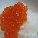 松川 - ご飯、生唐墨といくら、海苔、じゃこ山椒と5