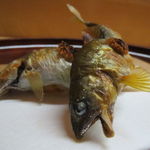 松川 - 子持ち鮎の塩焼き、蓼酢で1