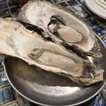 THE OYSTER MANS - 