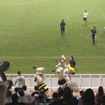 ベスト電器スタジアム - ほら！