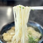 桐乃家 - うどんは好きな平麺系