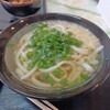 Fujimi Udon - 