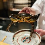 日本料理FUJI - 浜名湖産どうまん蟹　オス