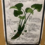 わさび居酒屋 あな蔵 - 