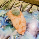 うを徳 - 北海道羽幌産　牡丹海老