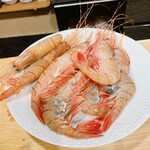 うを徳 - 北海道羽幌産　牡丹海老