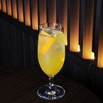 メキシカン・オランジェットサワー