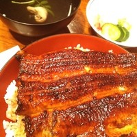 吉寅 - 