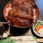 Unagi Suminobou - 