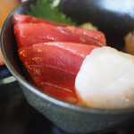 肴 雲丹 まるひら - 