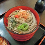 奥出雲 そば処 一福 - 薬味を少しかけ華やかに！