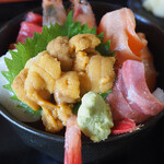 肴 雲丹 まるひら - 