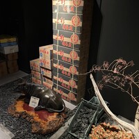 米沢牛上杉 銀座本店 - 