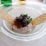 SAKURA - シャンピニョンのクレムー