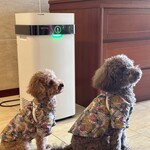 カヌチャベイホテル＆ヴィラズ - 