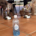 カヌチャベイホテル＆ヴィラズ - 