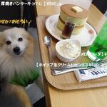 DOG DEPT.+CAFE - 《[b:厚焼きパンケーキ(ﾀﾞﾌﾞﾙ)･ホイップ生クリームﾄｯﾋﾟﾝｸﾞ･メロンソーダ》♨