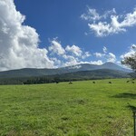 牛乳専科もうもう - 