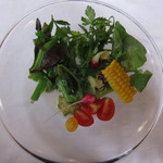 ウシマル - 地獲り野菜のサラダ