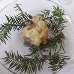 ウシマル - 房州産オオモミ茸と片貝産ホッキ貝のカルパッチョ