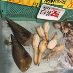 とれとれ市場 鮮魚コーナー - 