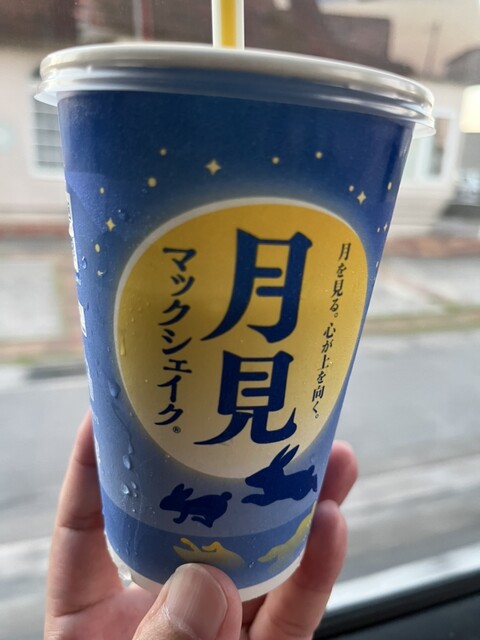 マック Hitachi ZX 250 LC-3 excavator specs & dimensions (2006 - 2012