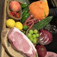 オッジ ダルマット 西麻布店 - 