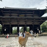 ROKUMEI COFFEE CO. NARA - 東大寺の鹿さん